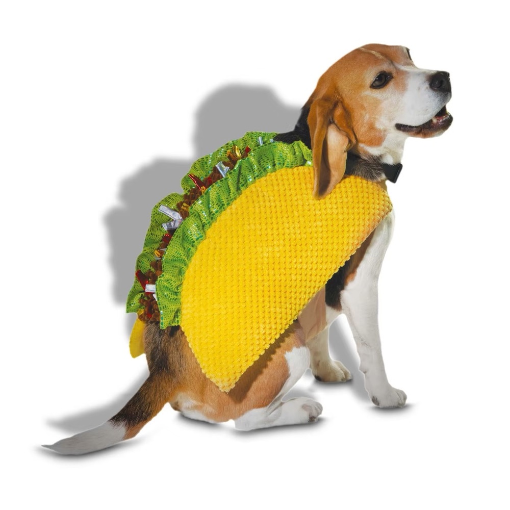Taco 🌮 Dog Costume NWT